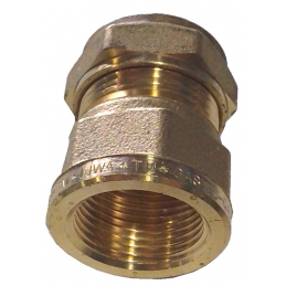 RACOR RECTO HEMBRA ZAMBRA