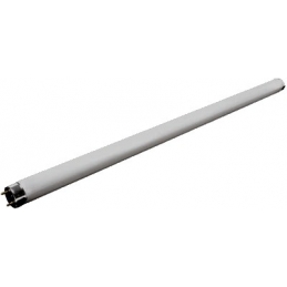 TUBO FLOREC. STAND. F58W/