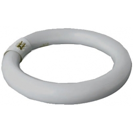 TUBO FLUORESCENTE CIRCULA