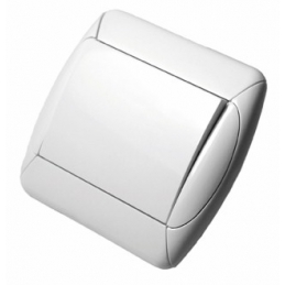 INTERRUPTOR EMPOTRAR