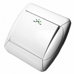 INTERRUPTOR LUMINOSO EMPO