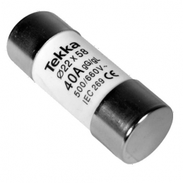 FUSIBLE CILINDRICO 22X58 