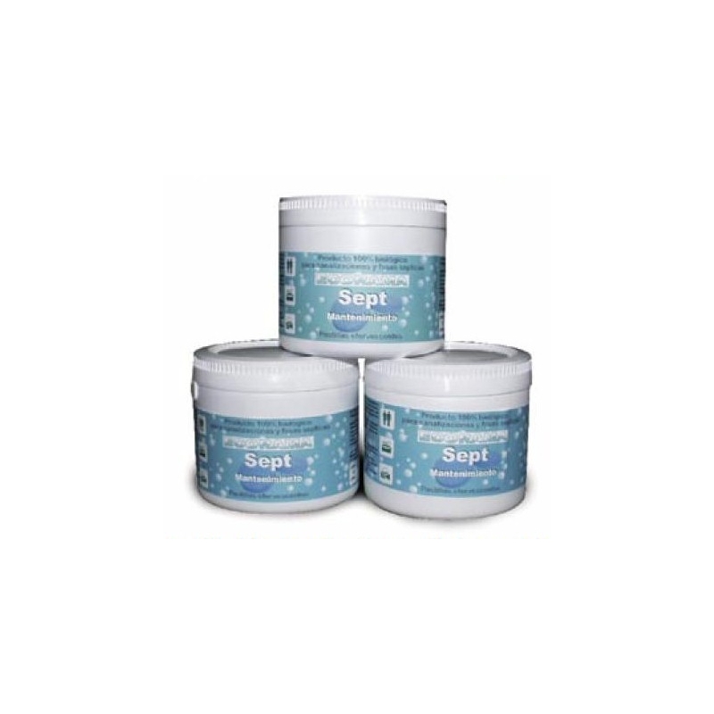 BOTE 12 PAST MANTENIMIENT