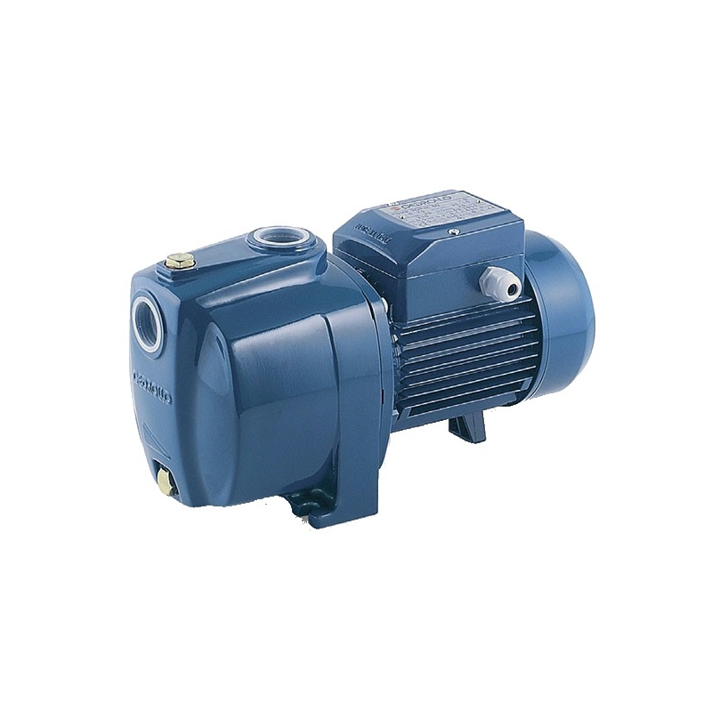 BOMBA 3CPM100 DE 0.85 CV 220 V (CM-31)